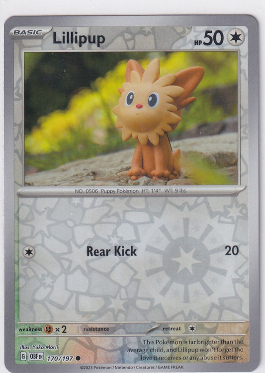 #170 Lillipup