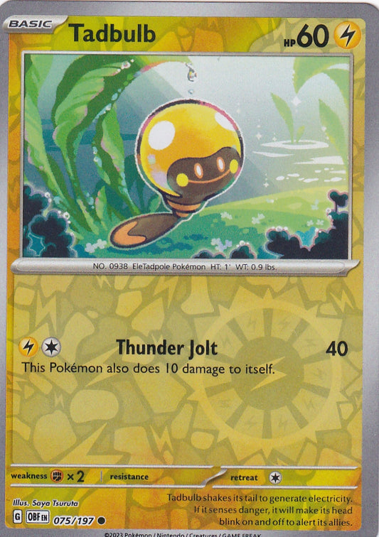 #075 Tadbulb