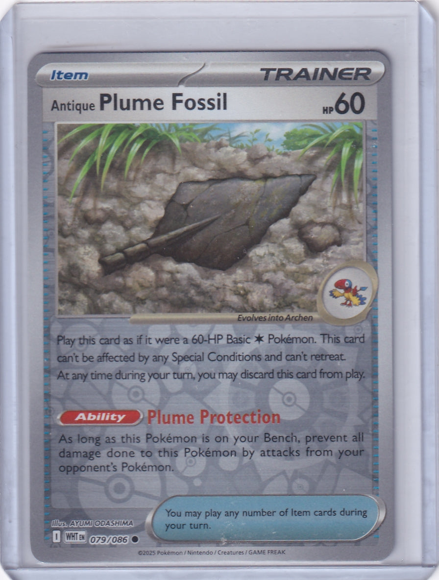 #079 Antique Plume Fossil