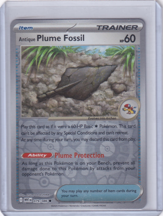#079 Antique Plume Fossil