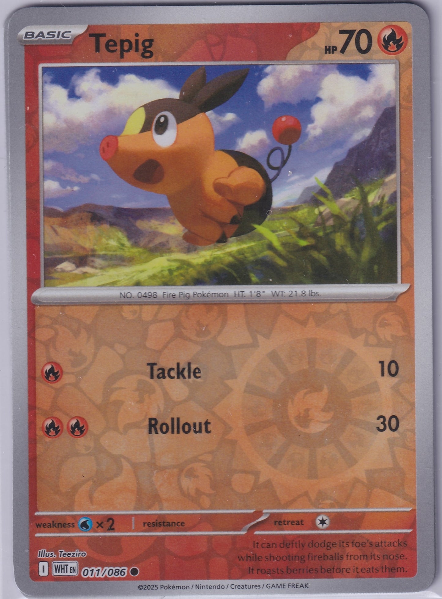 #011 Tepig
