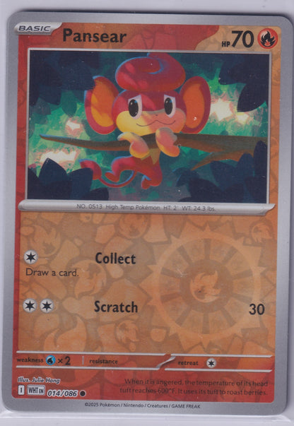 #014 Pansear