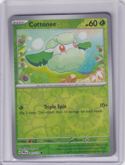 #007 Cottonee