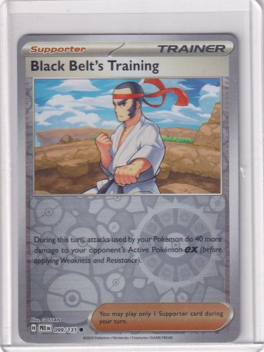 #099 Black Belt's Training