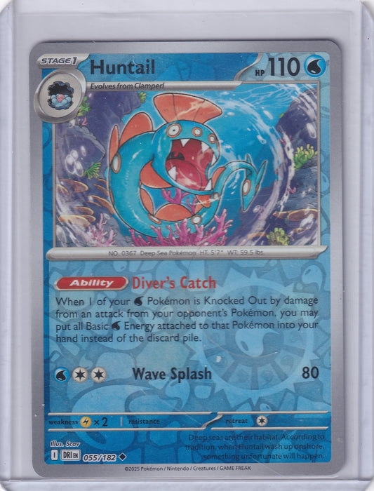 #055 Huntail