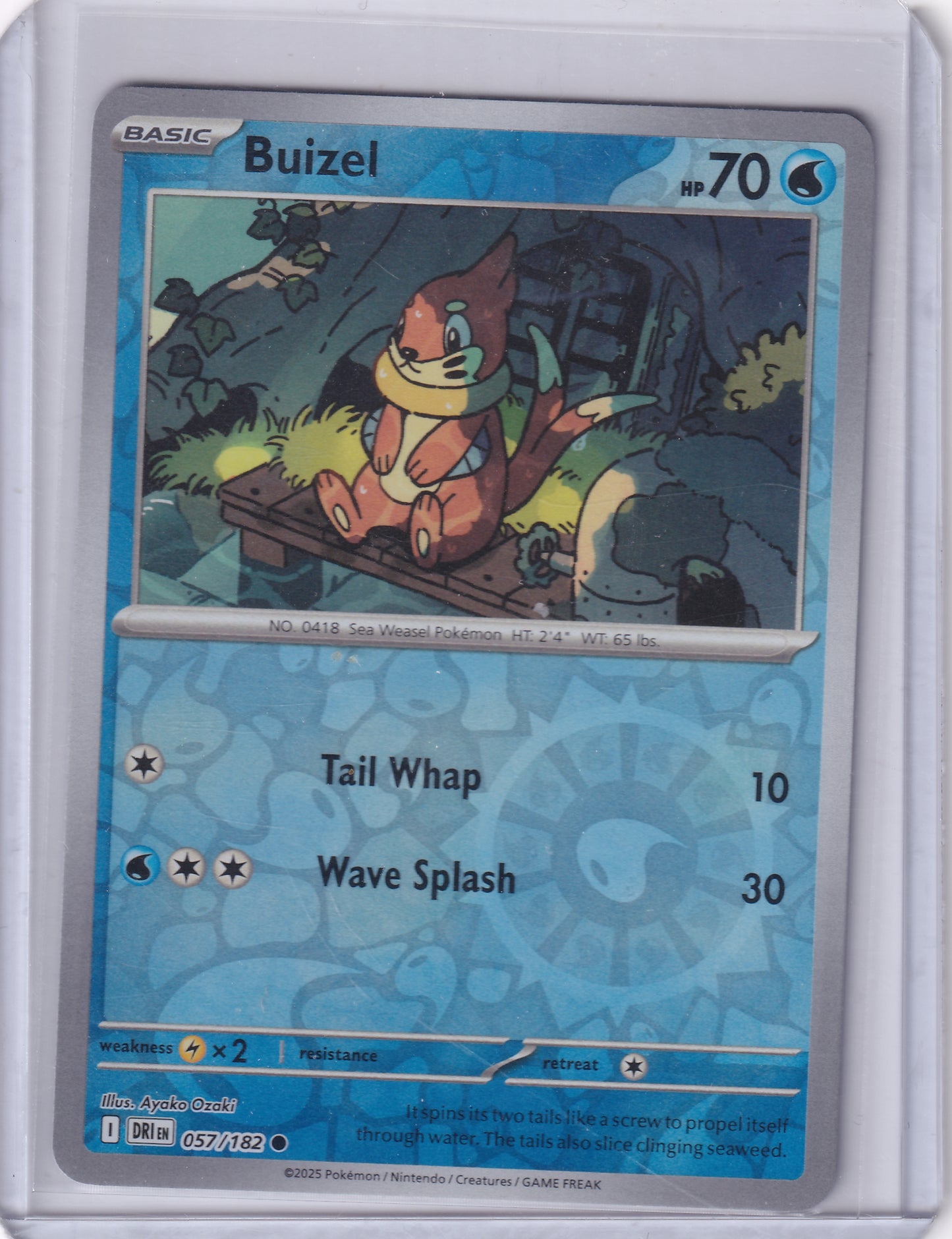 #057 Buizel