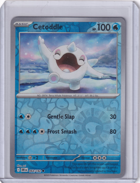 #064 Cetoddle