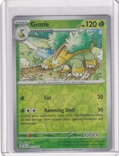 #011 Grotle