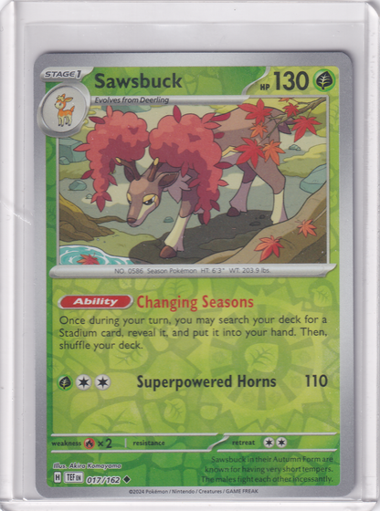 #017 Sawsbuck