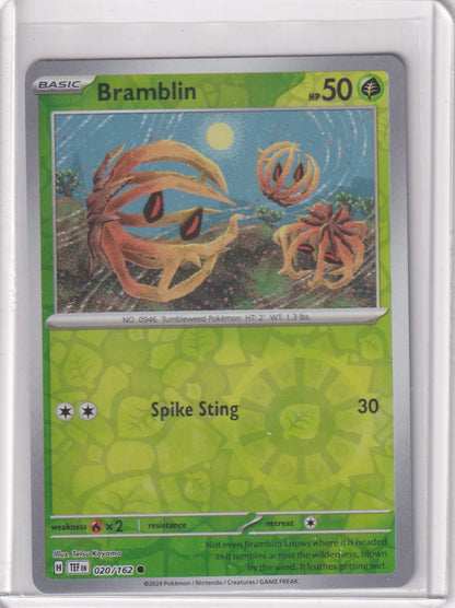 #020 Bramblin