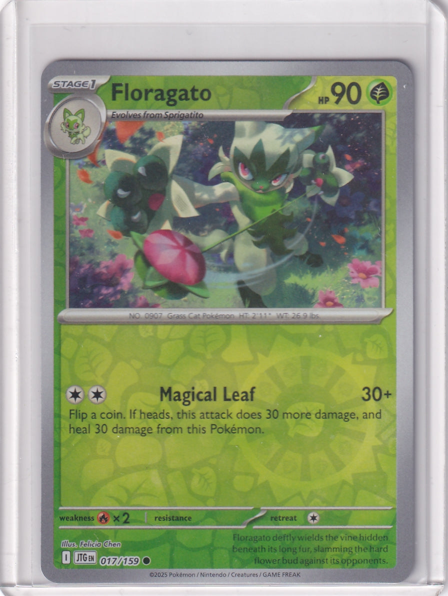 #017 Floragato