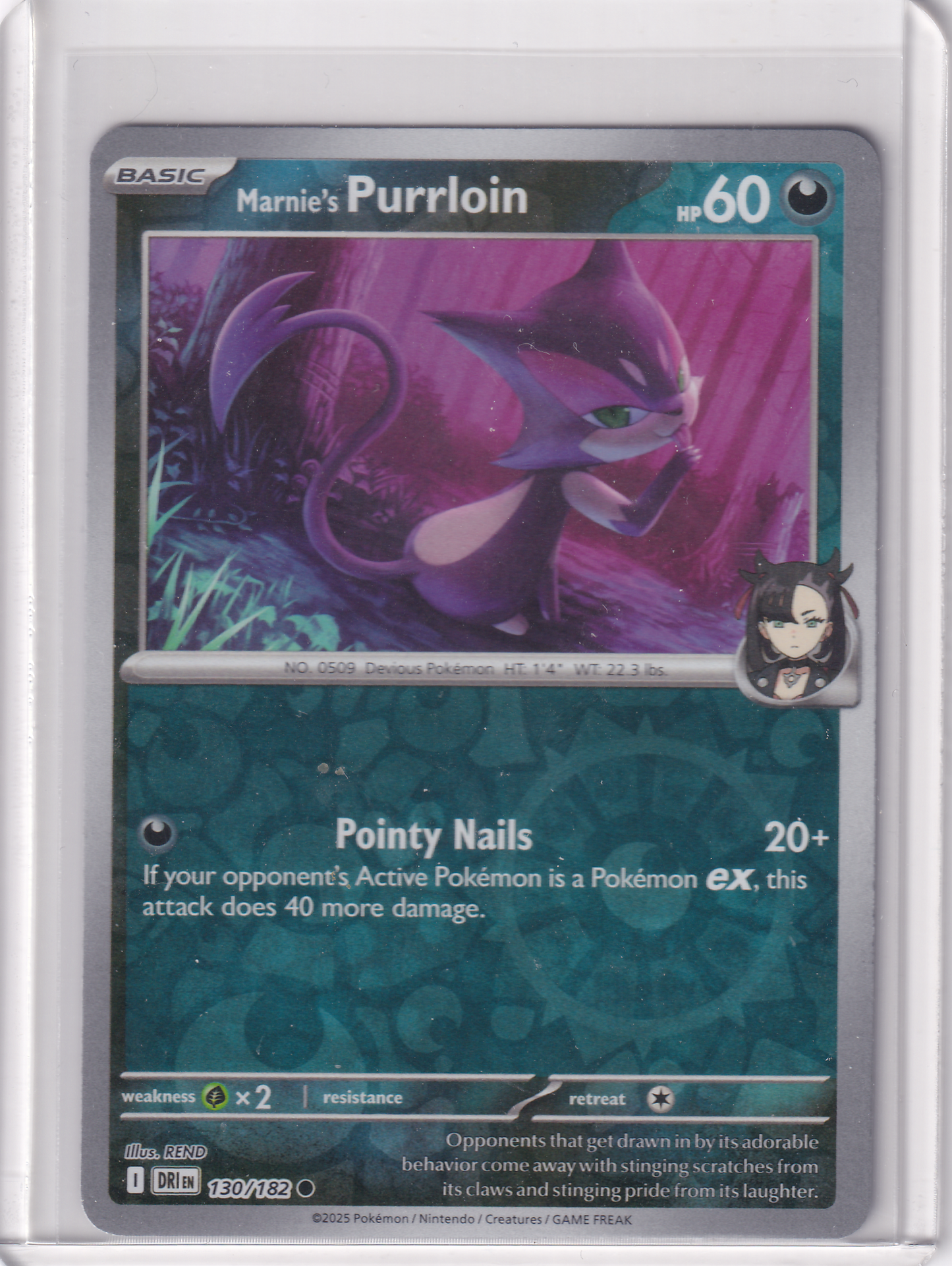 #130 Marnie's Purrloin