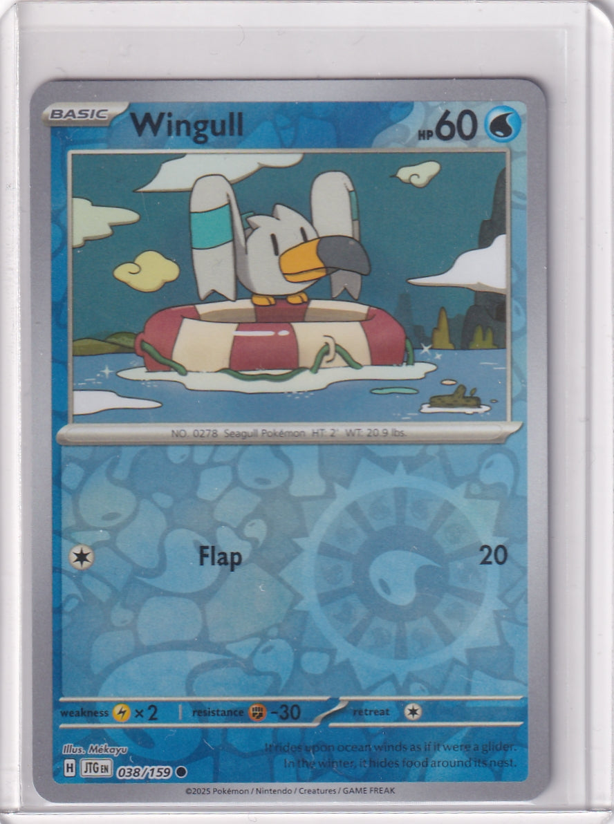 #038 Wingull