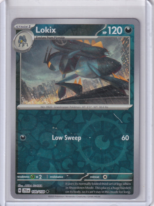 #100 Lokix