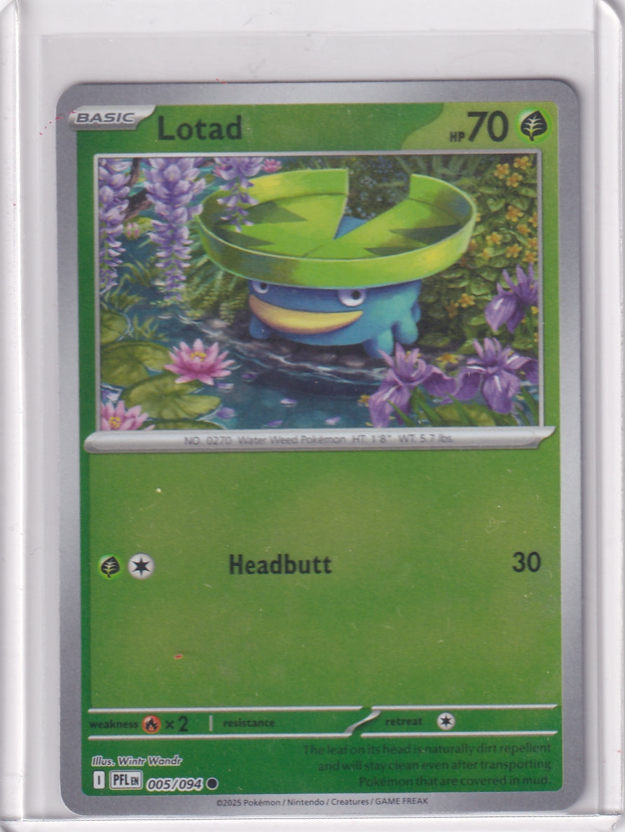 #005 Lotad