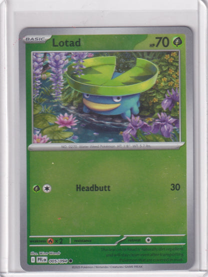 #005 Lotad
