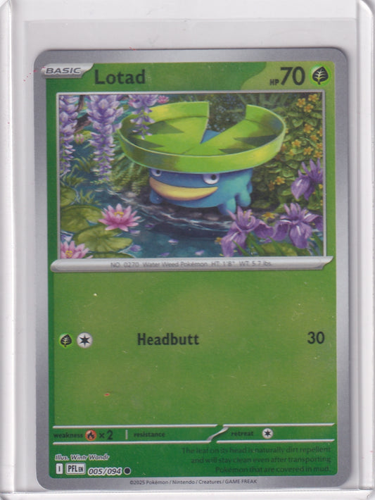 #005 Lotad