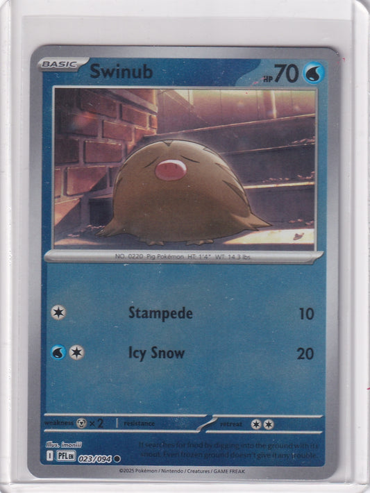 #023  Swinub