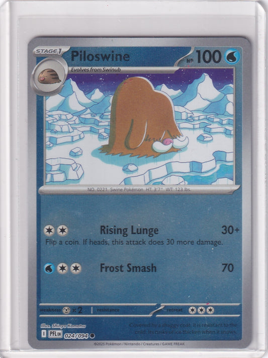 #024 Piloswine