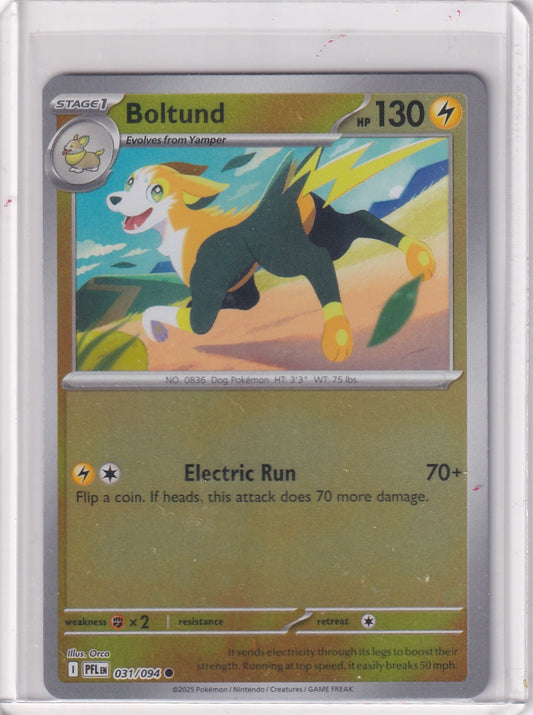 #031 Boltund