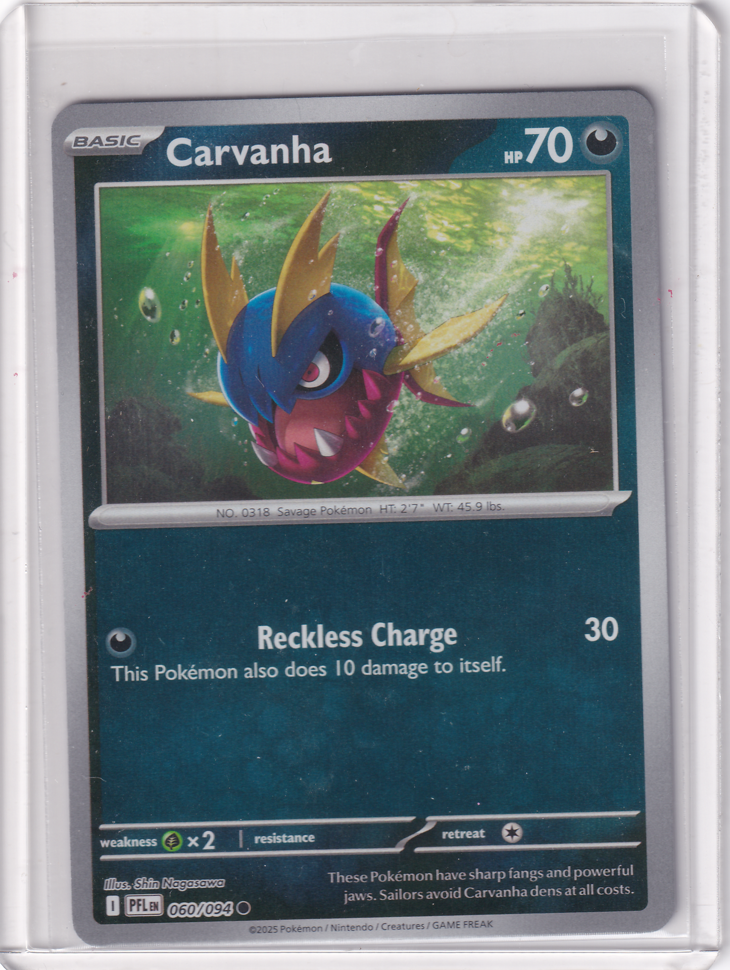 #060 Carvanha