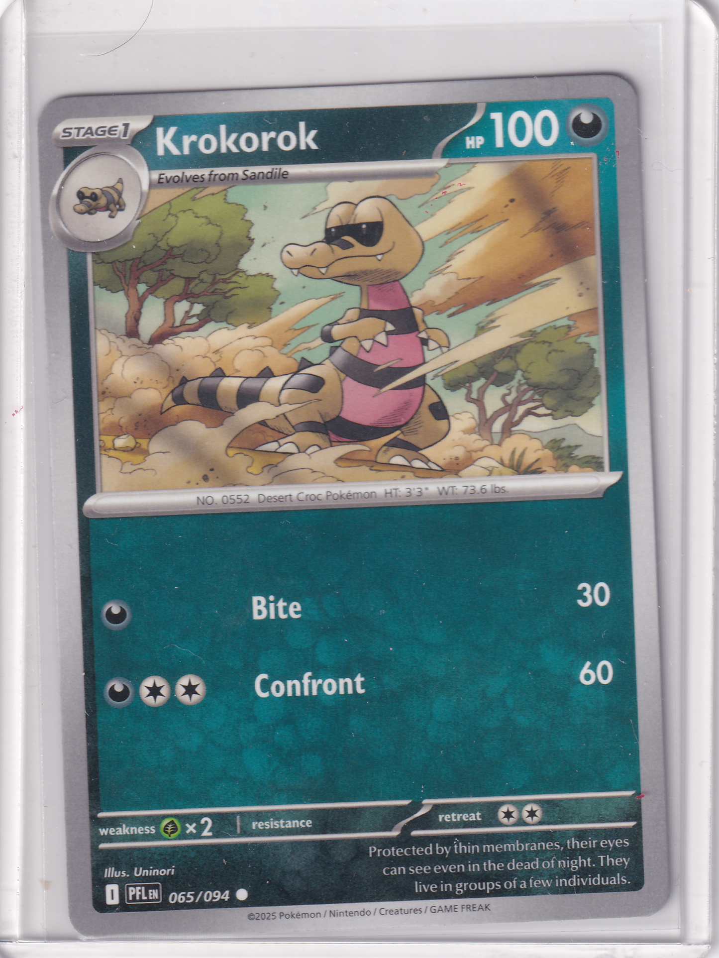 #065 Krokorok