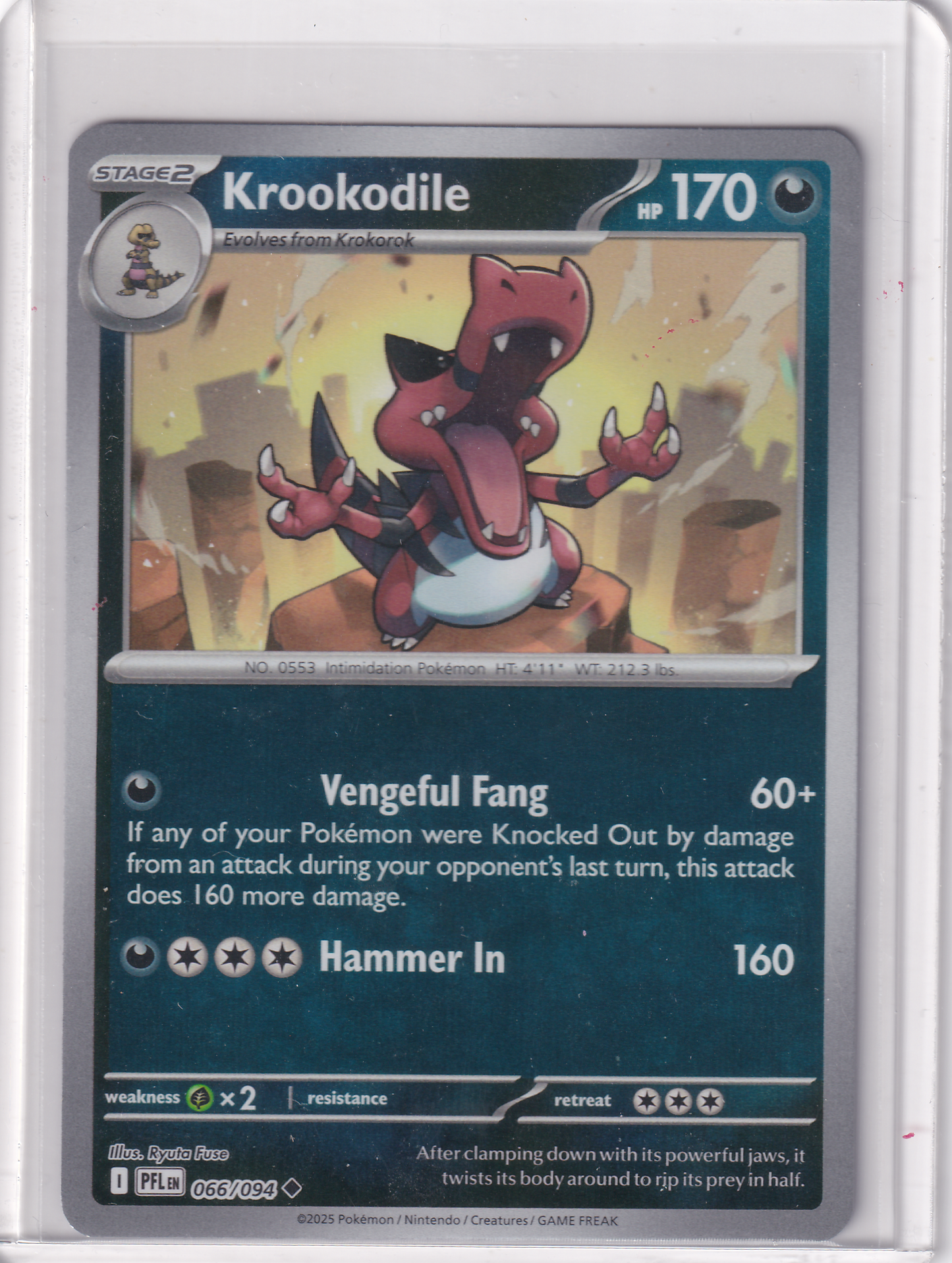 #066 Krookodile