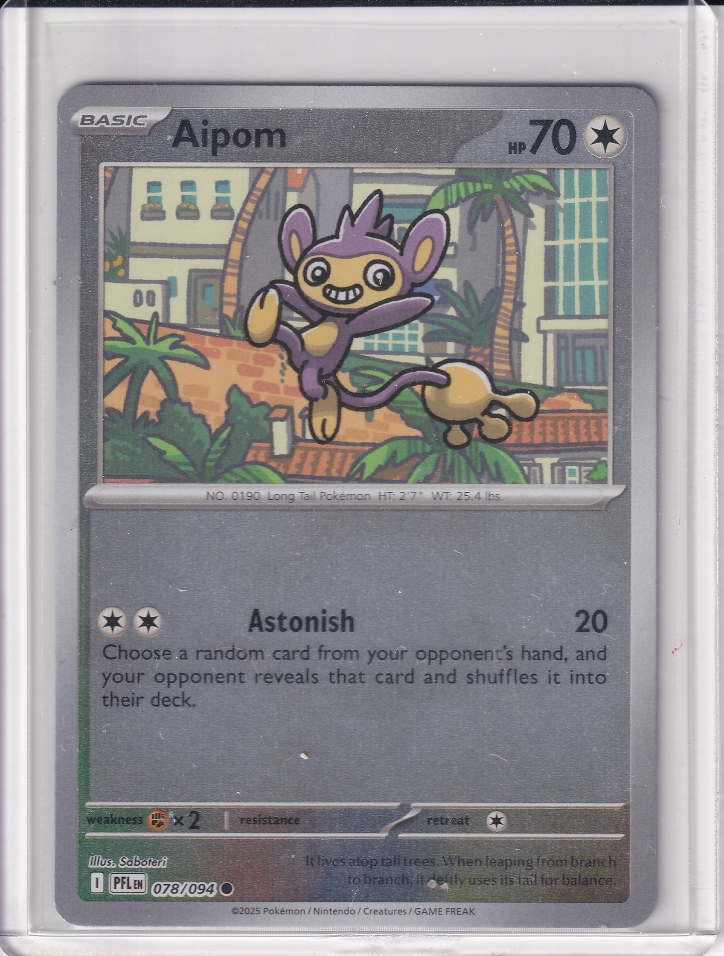 #078 Aipom