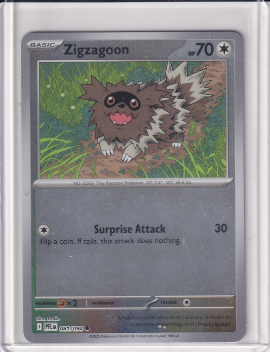 #081 Zigzagoon