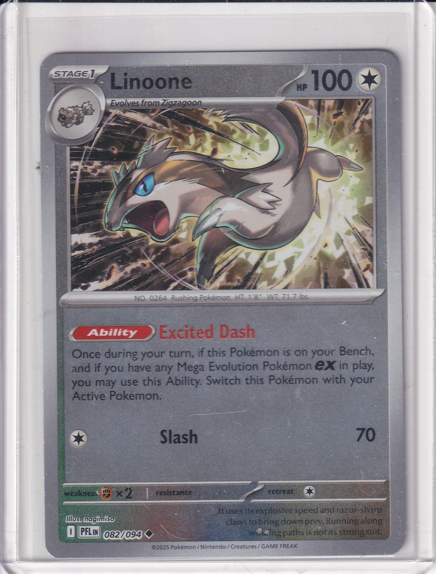 #082 Linoone