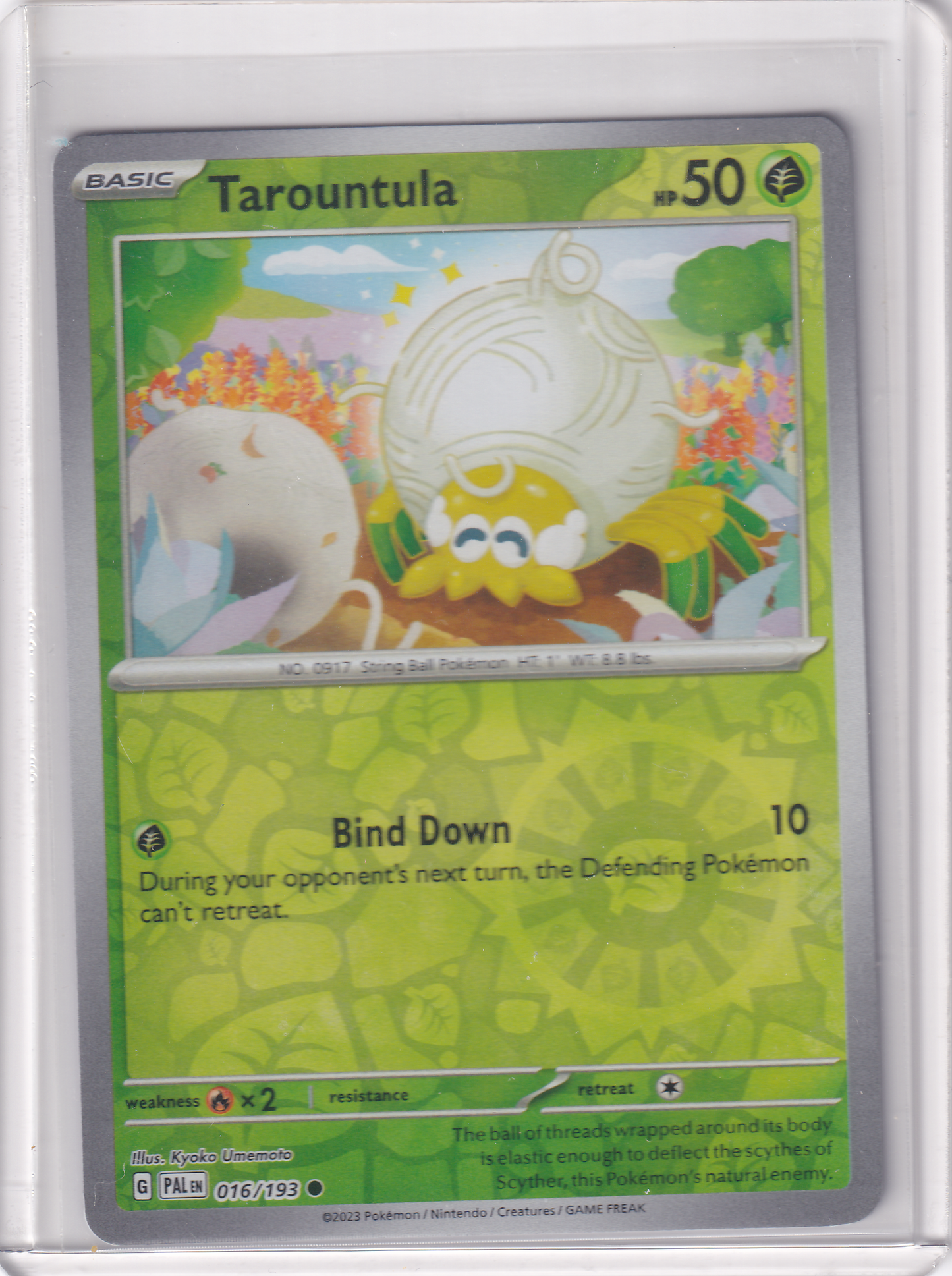 #016 Tarountula