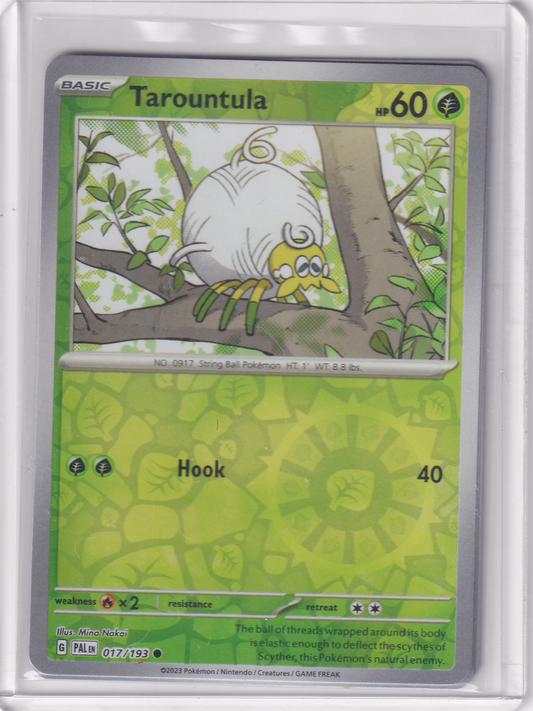 #017 Tarountula