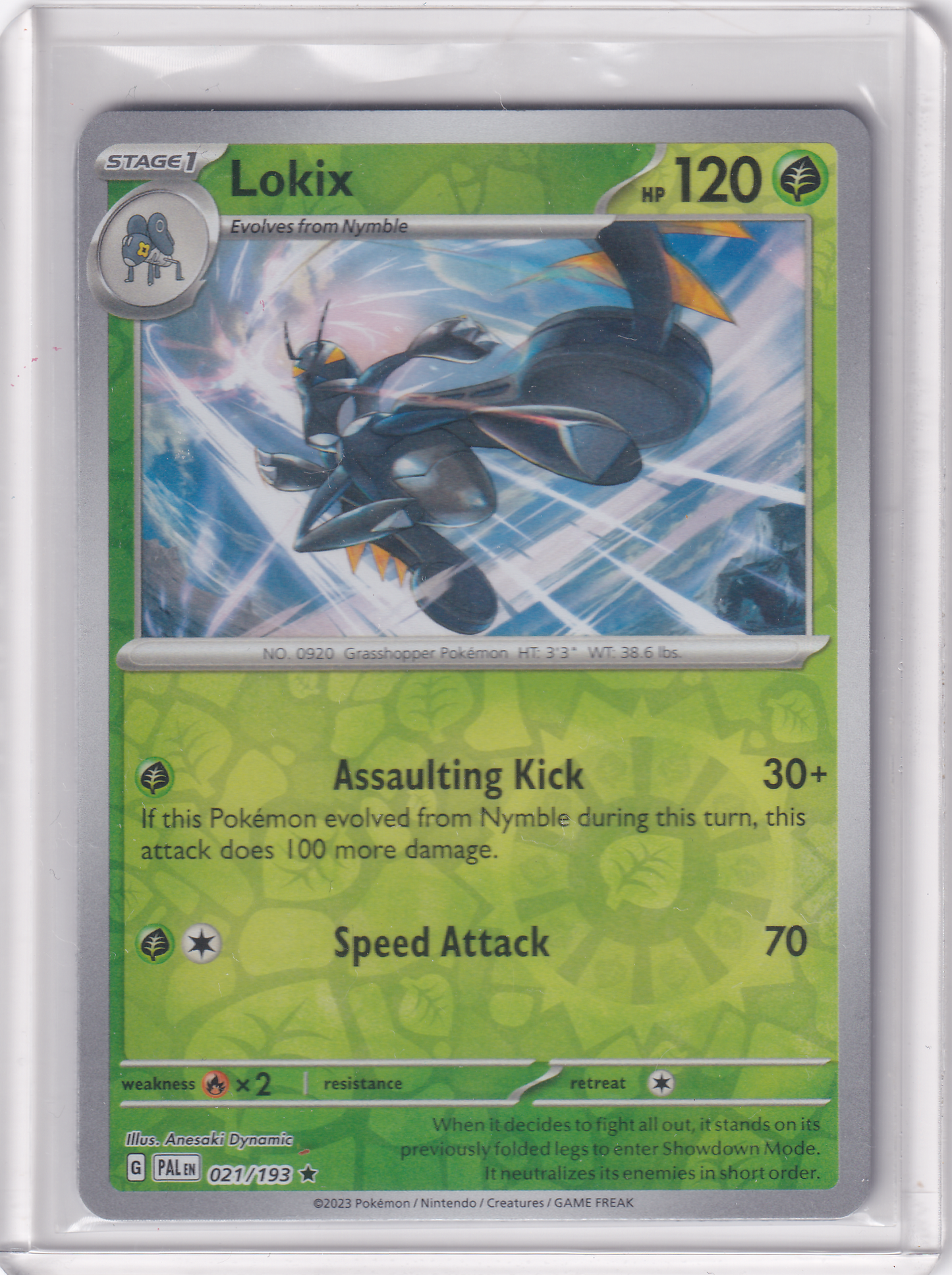 #021 Lokix