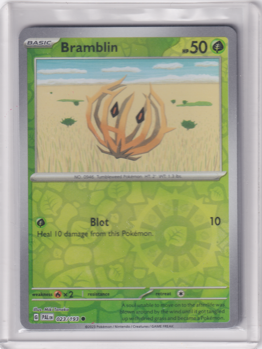 #023 Bramblin