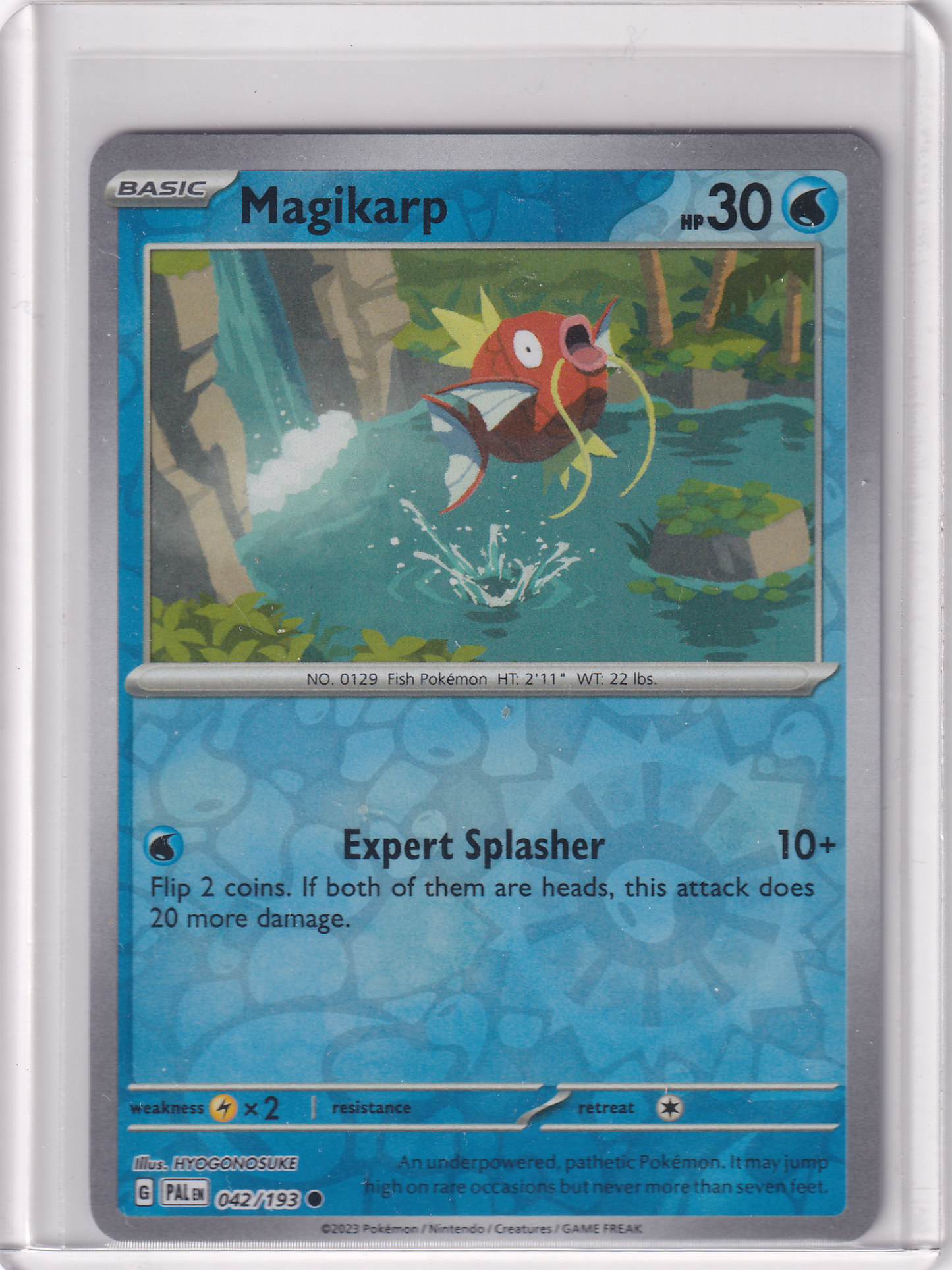 #042 Magikarp