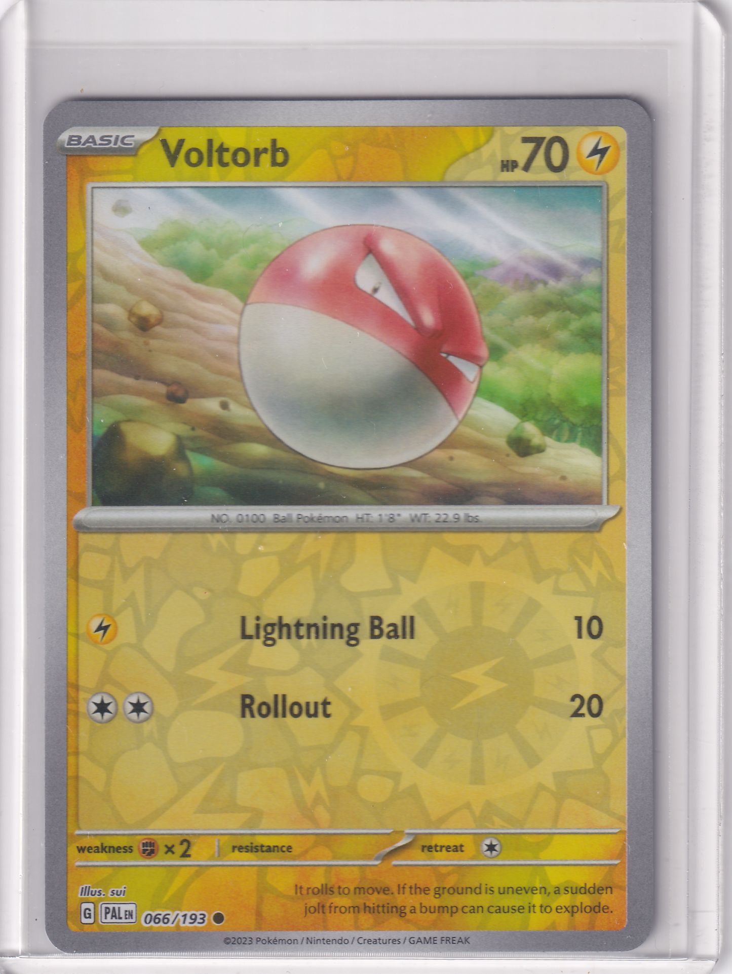 #066 Voltorb
