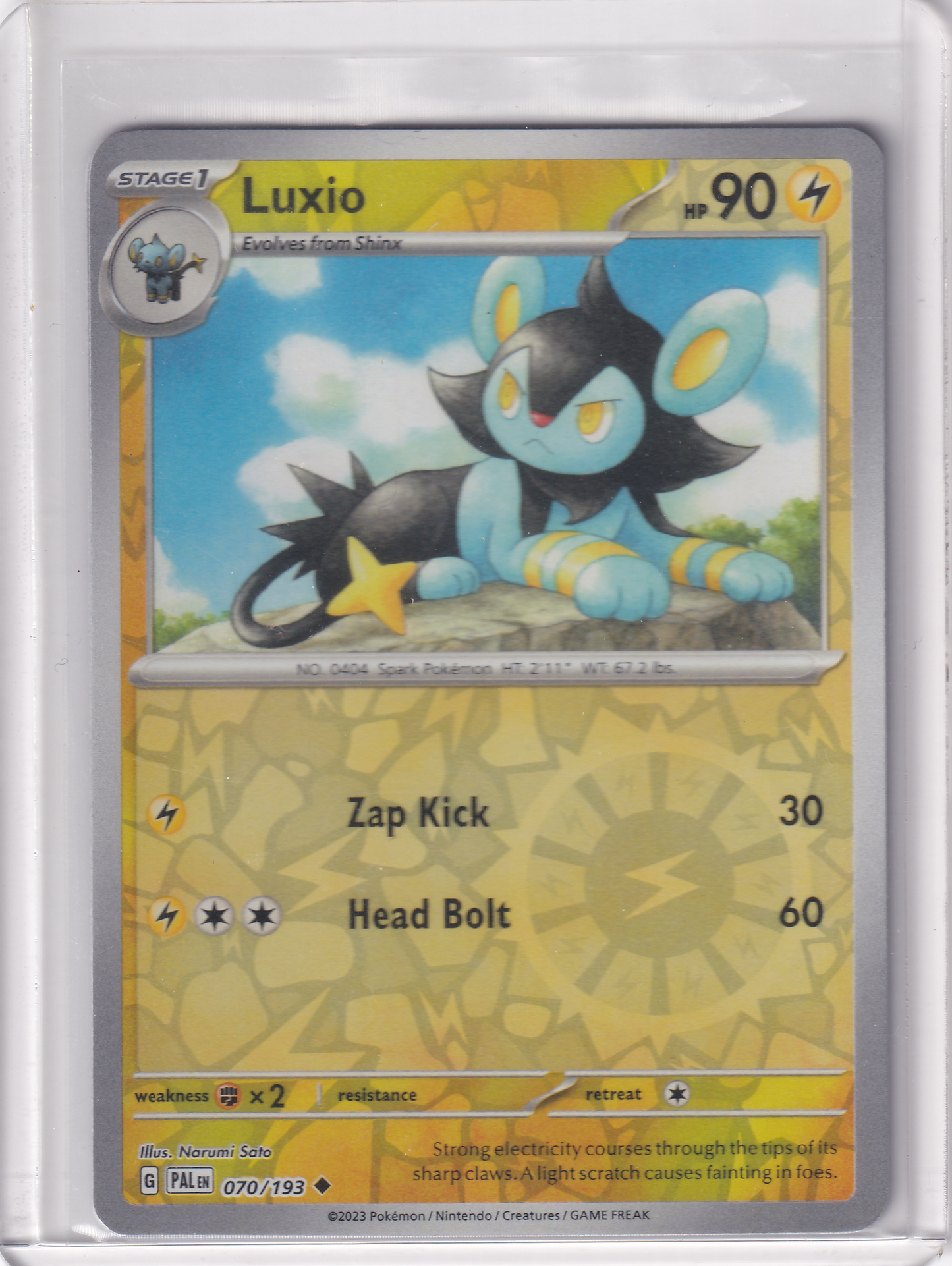 #070 Luxio