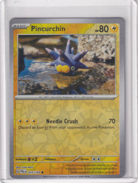 #072 Pincurchin