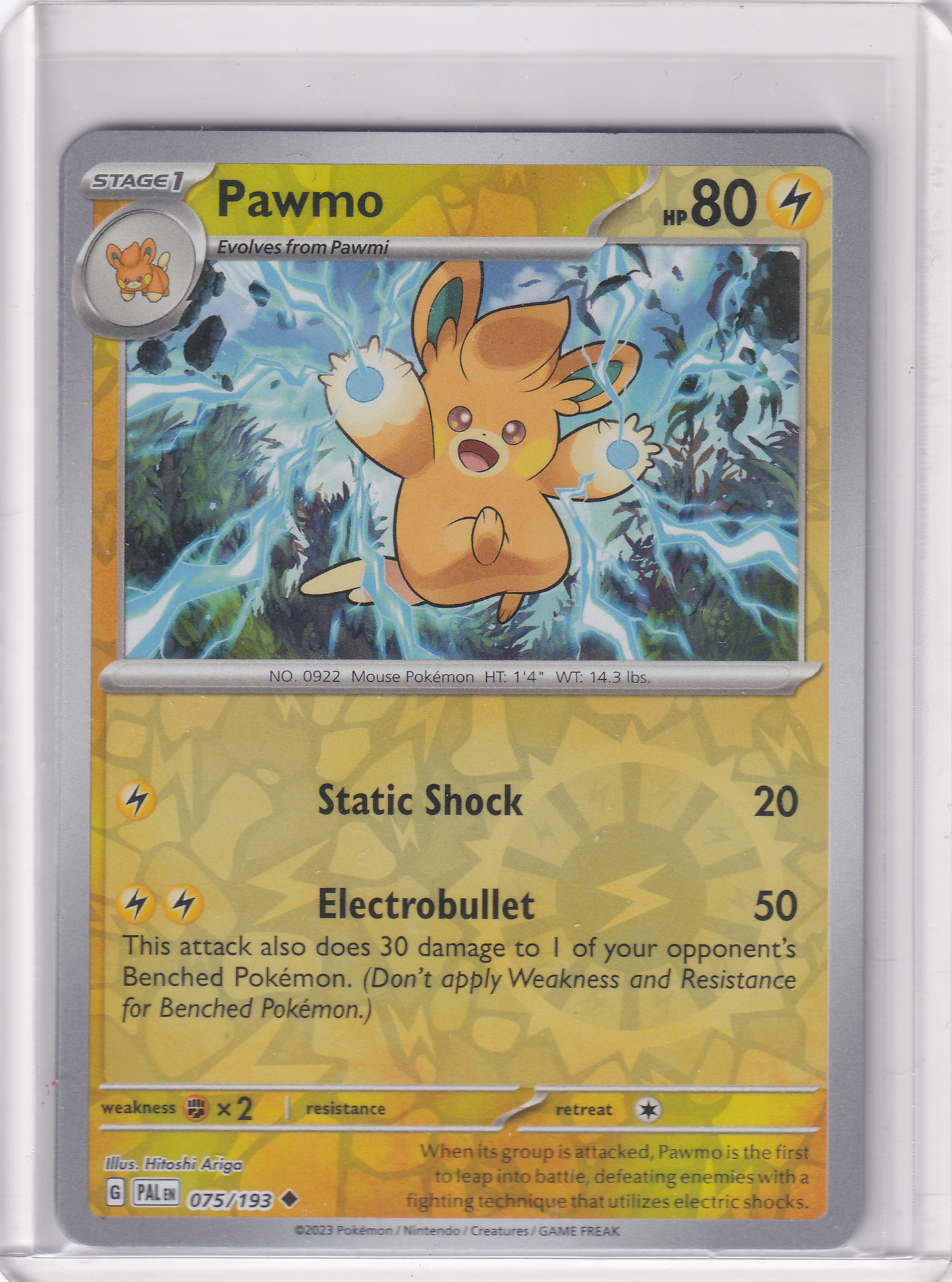 #075 Pawmo