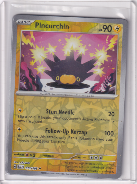 #073 Pincurchin