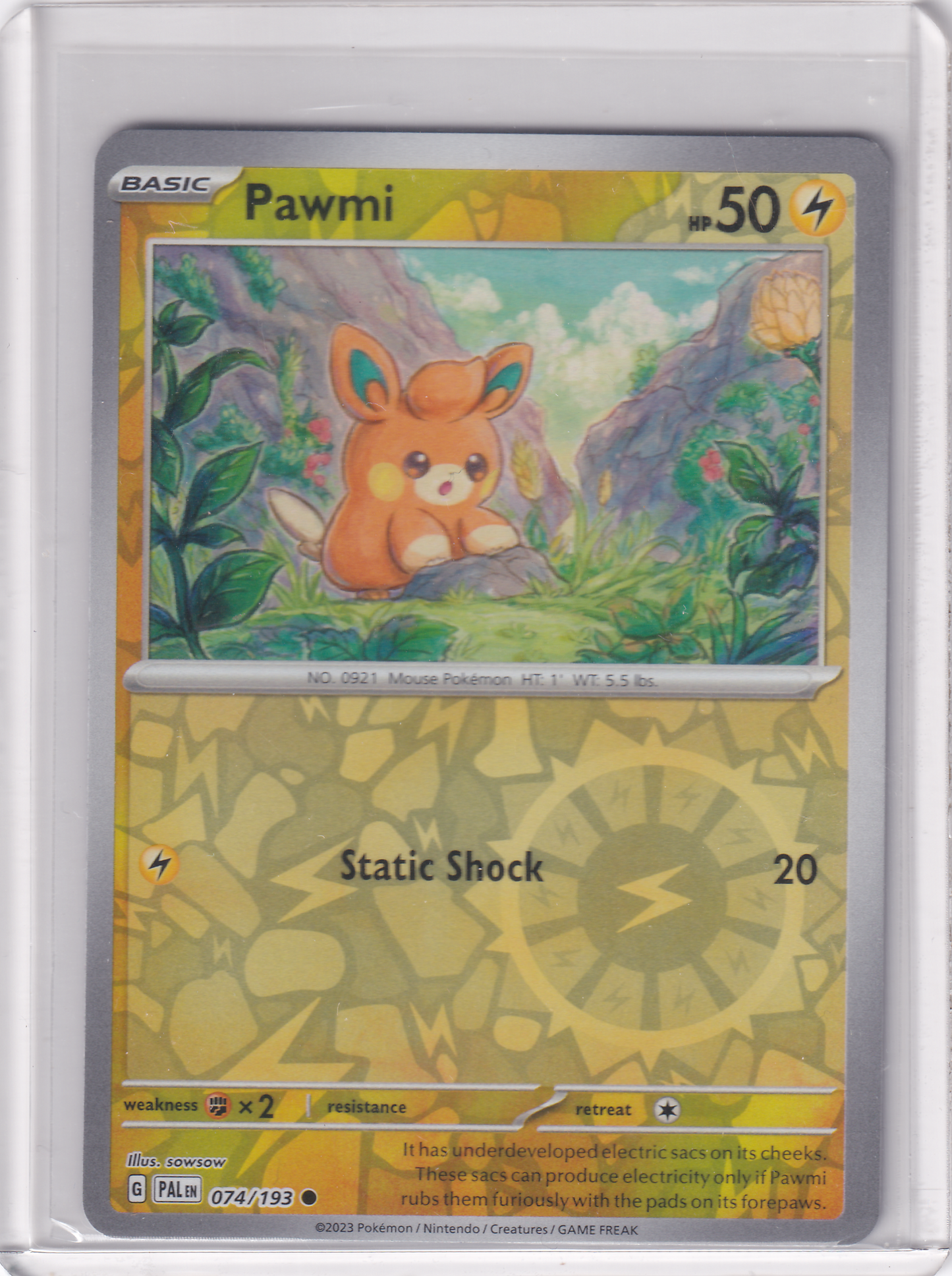 #074 Pawmi