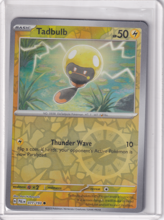 #077 Tadbulb
