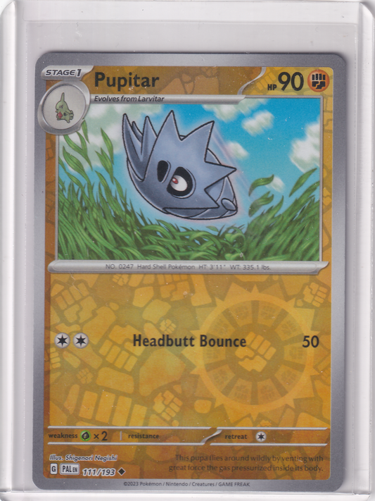 #111 Pupitar