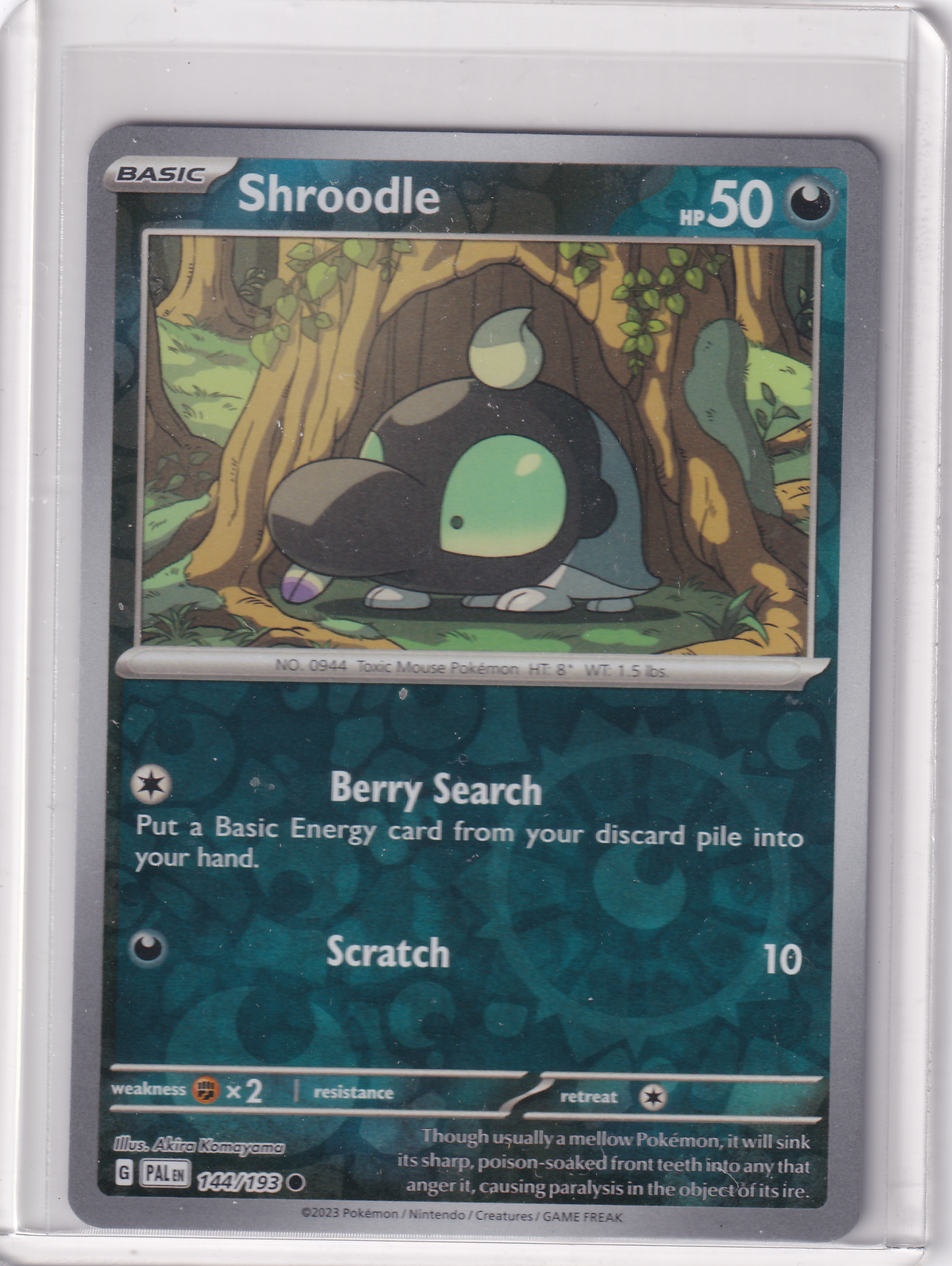 #144 Shroodle