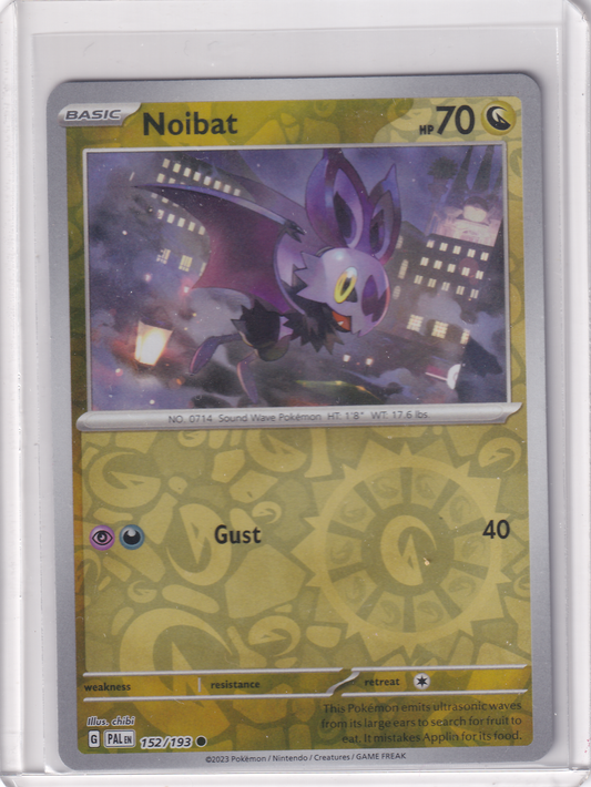 #152 Noibat