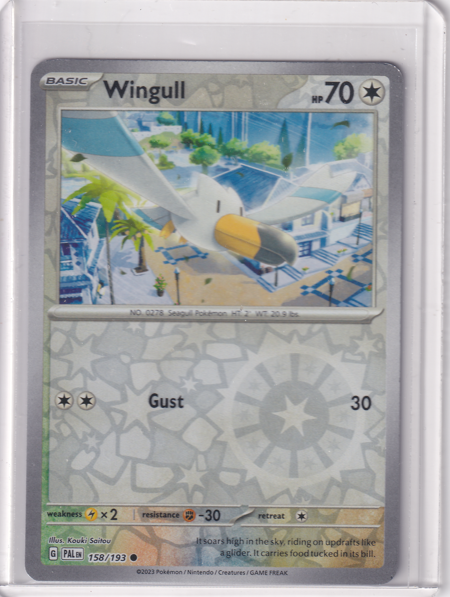 #158 Wingull