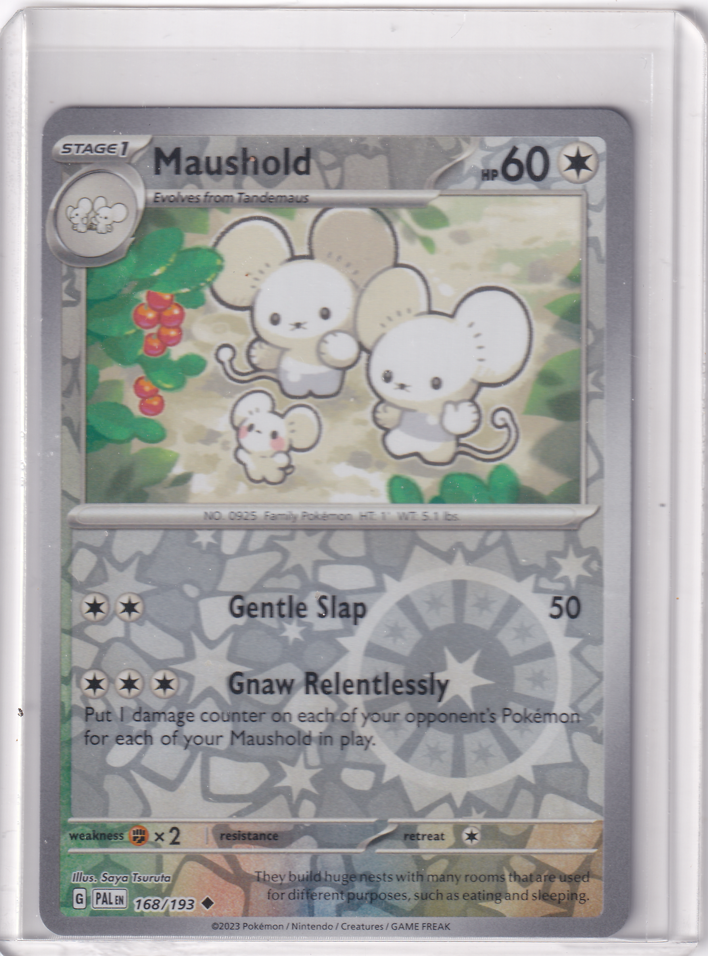 #168 Masushold