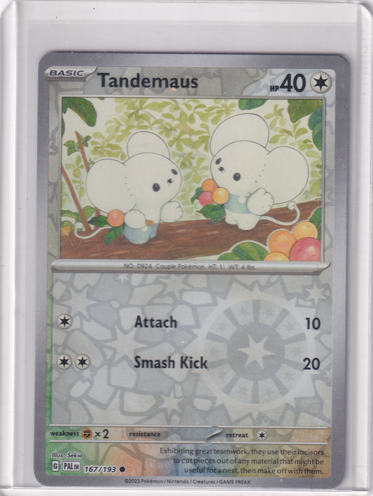 #167 Tandemaus