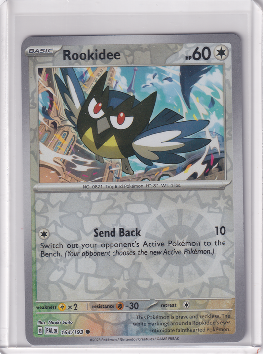 #164 Rookidee