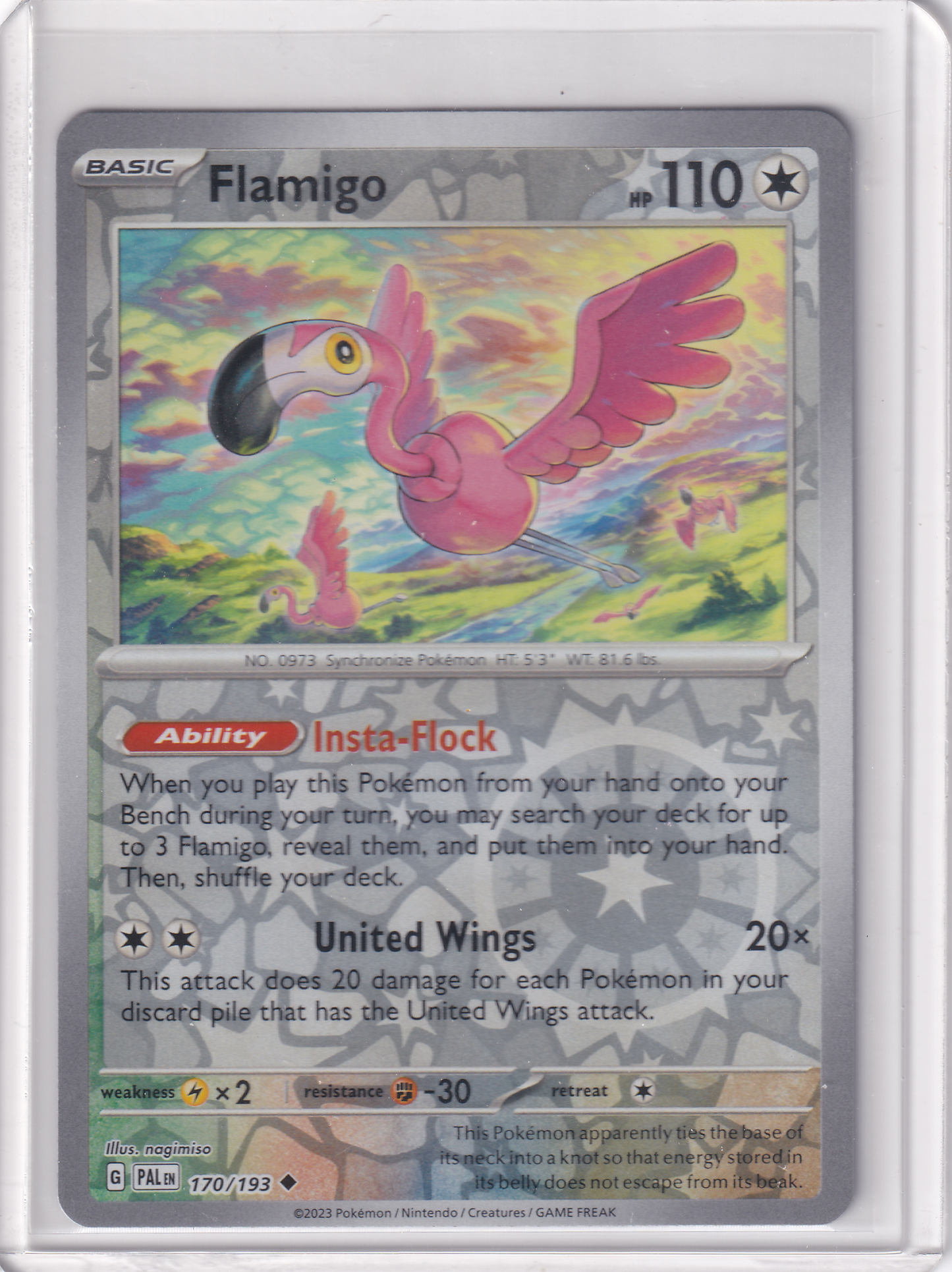 #170 Flamigo